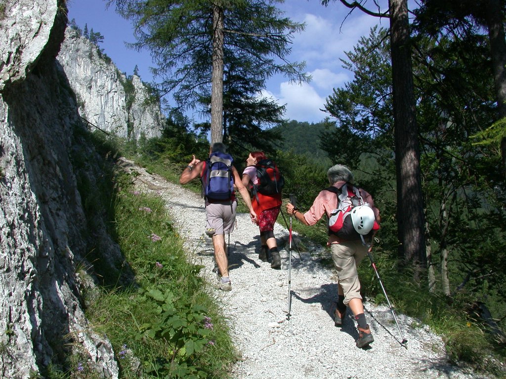 DSCN6444.JPG