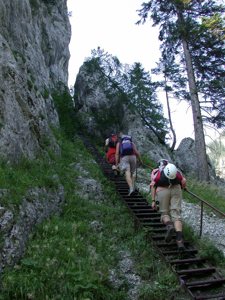 DSCN6445.JPG