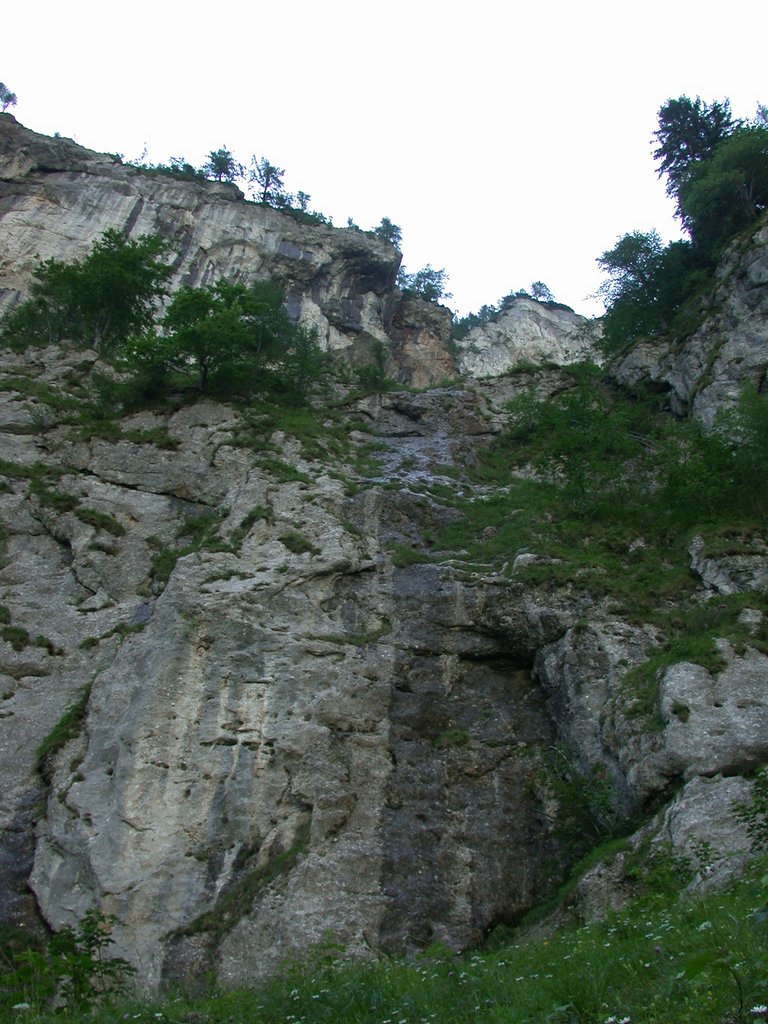 DSCN6455.JPG