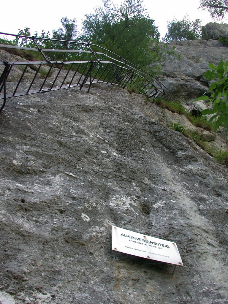 DSCN6458.JPG