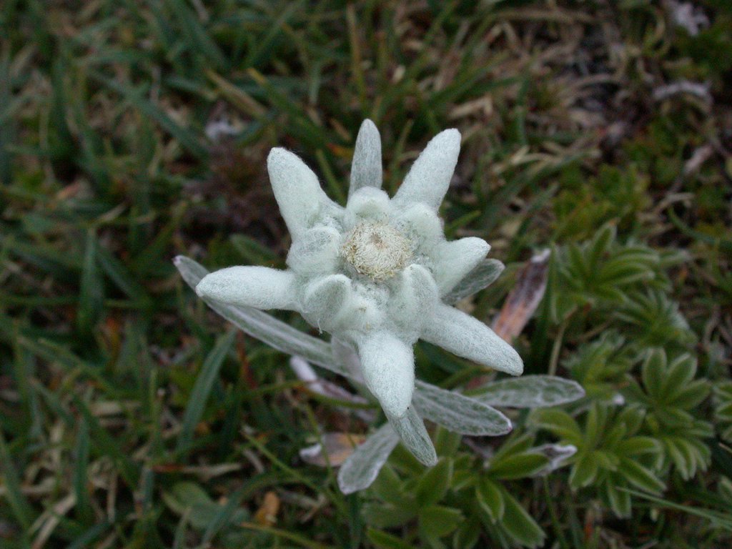 DSCN6476.JPG