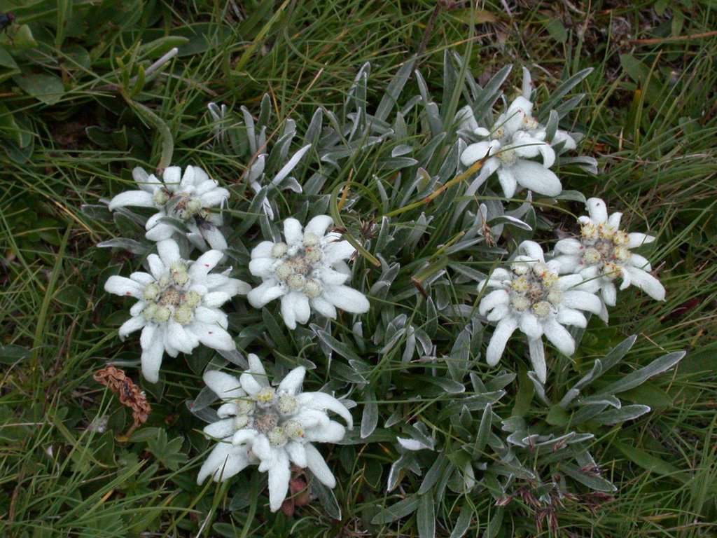 DSCN6477.JPG