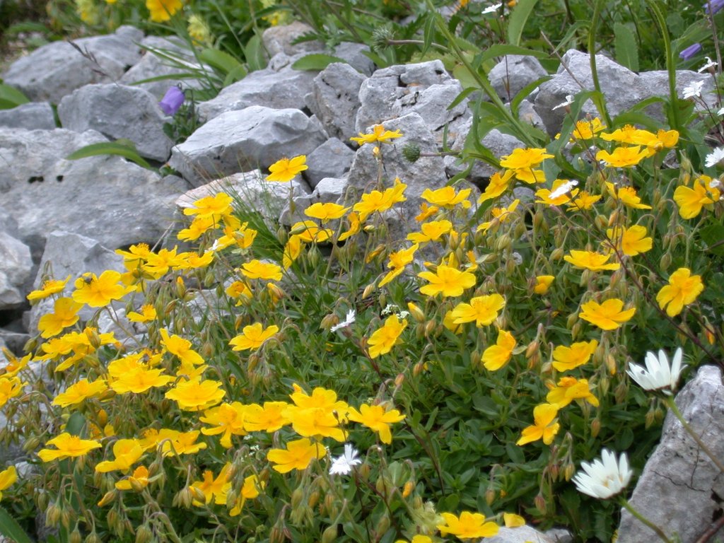 DSCN6480.JPG