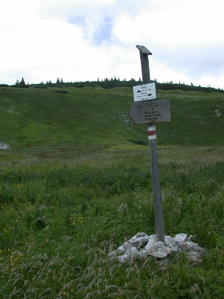 DSCN6483.JPG