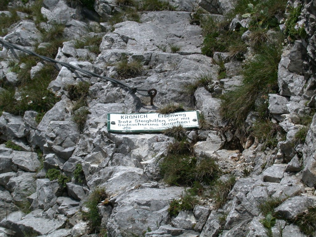 DSCN6490.JPG