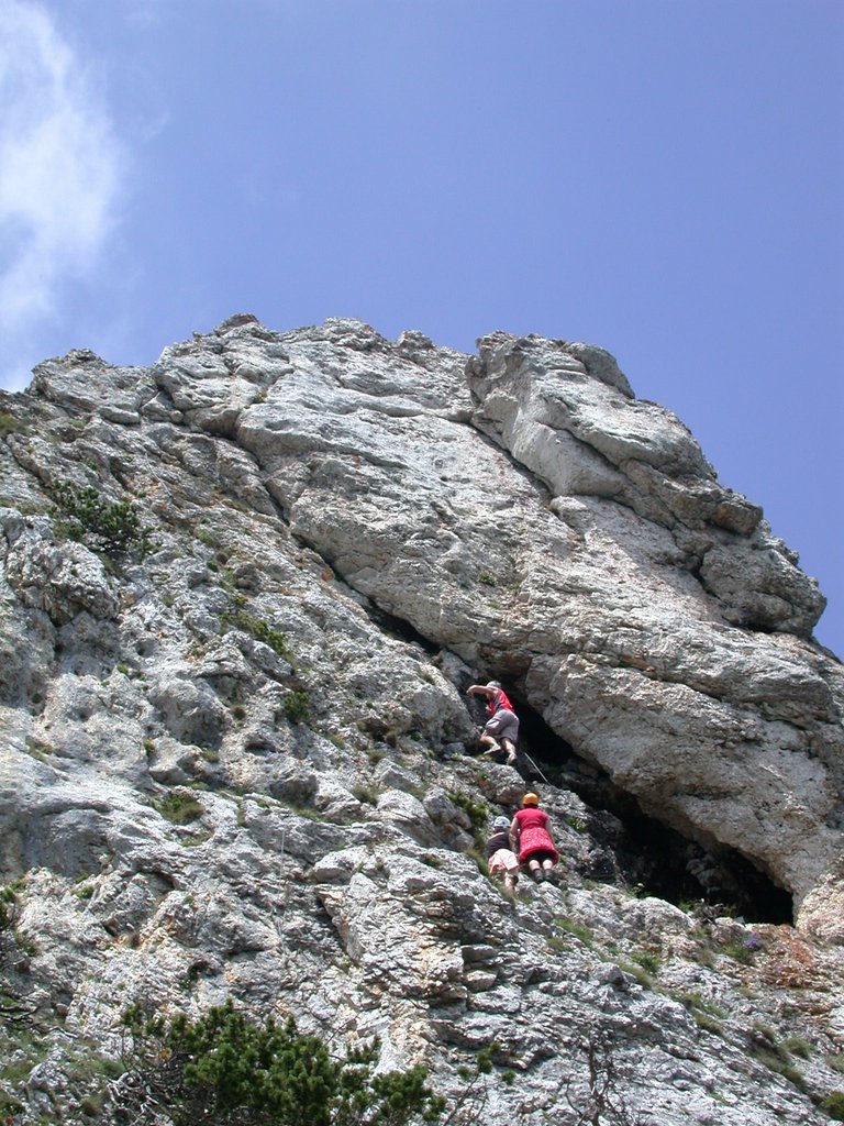 DSCN6497.JPG