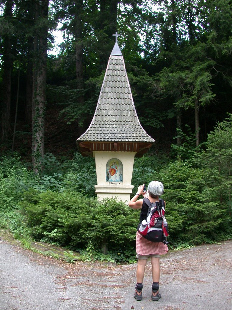 DSCN6520.JPG