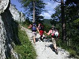 DSCN6444.JPG