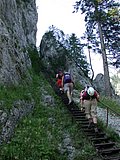 DSCN6445.JPG