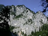 DSCN6446.JPG