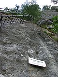 DSCN6458.JPG
