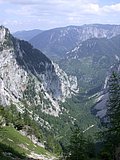 DSCN6462.JPG