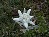 DSCN6476.JPG