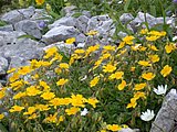 DSCN6480.JPG
