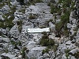 DSCN6490.JPG