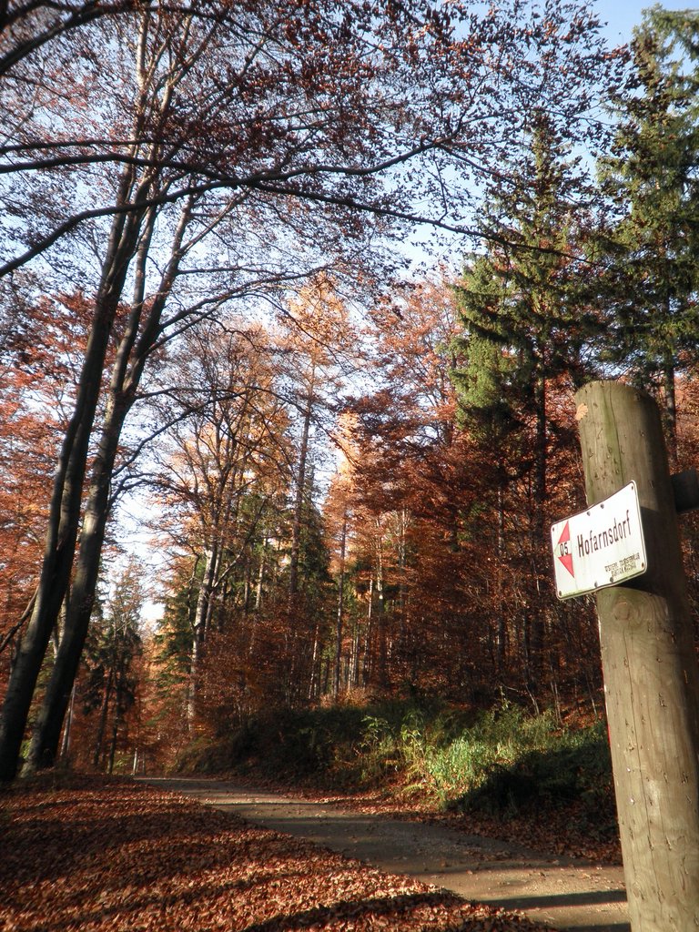 PB150008.JPG