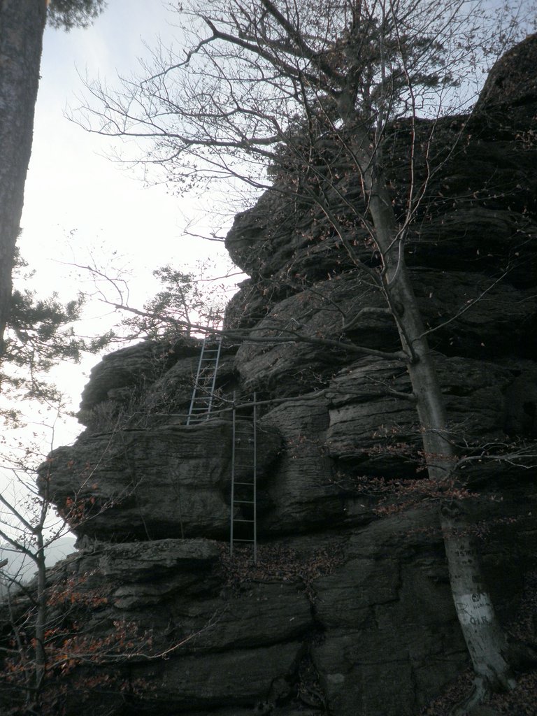 PB150030.JPG