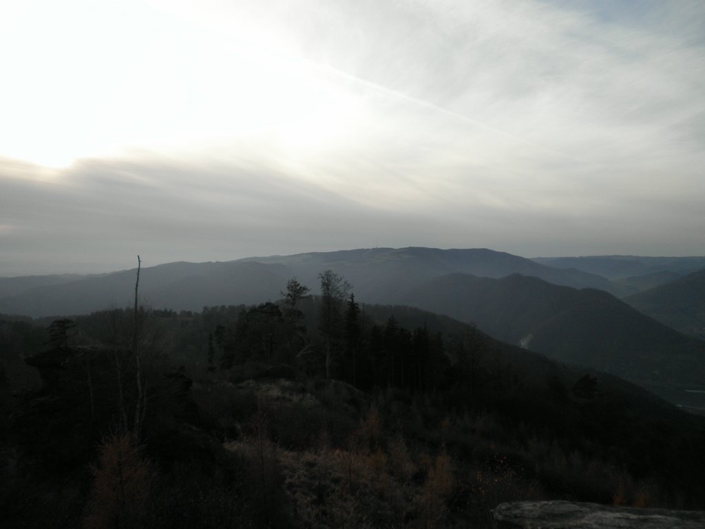 PB150033.JPG