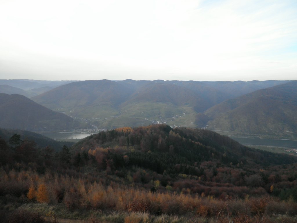 PB150035.JPG