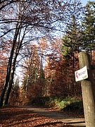 PB150008.JPG