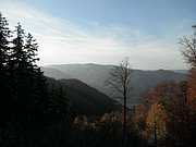 PB150011.JPG