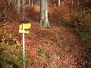 PB150018.JPG