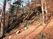 PB150019.JPG