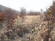 PB150032.JPG