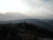 PB150033.JPG