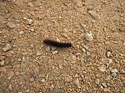 PB150040.JPG
