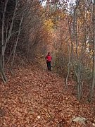 PB150049.JPG