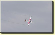 _IGP1231_mod.jpg