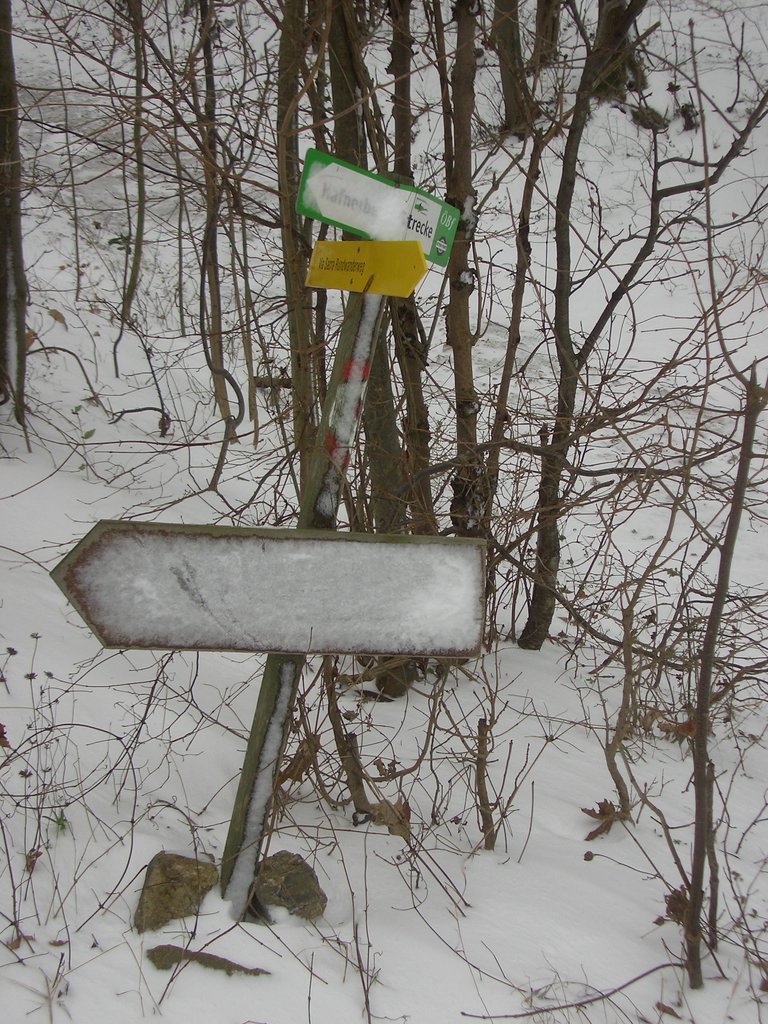CIMG3224.JPG
