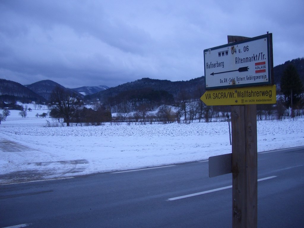 CIMG3231.JPG