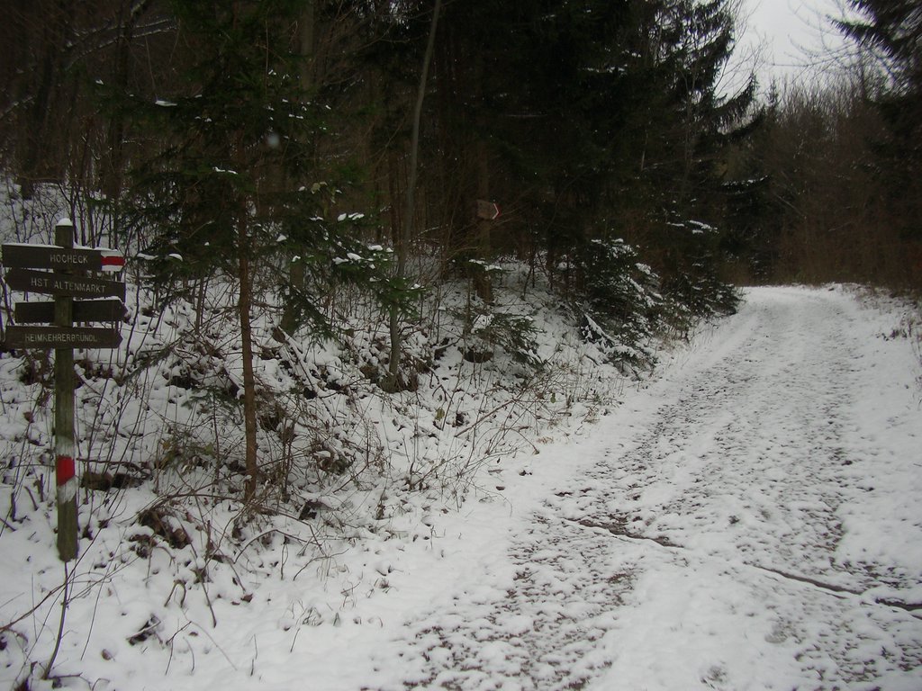 CIMG3256.JPG