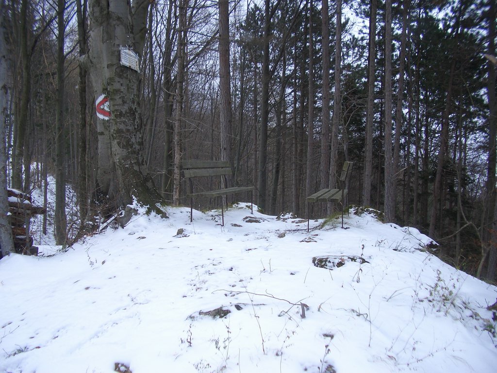 CIMG3262.JPG