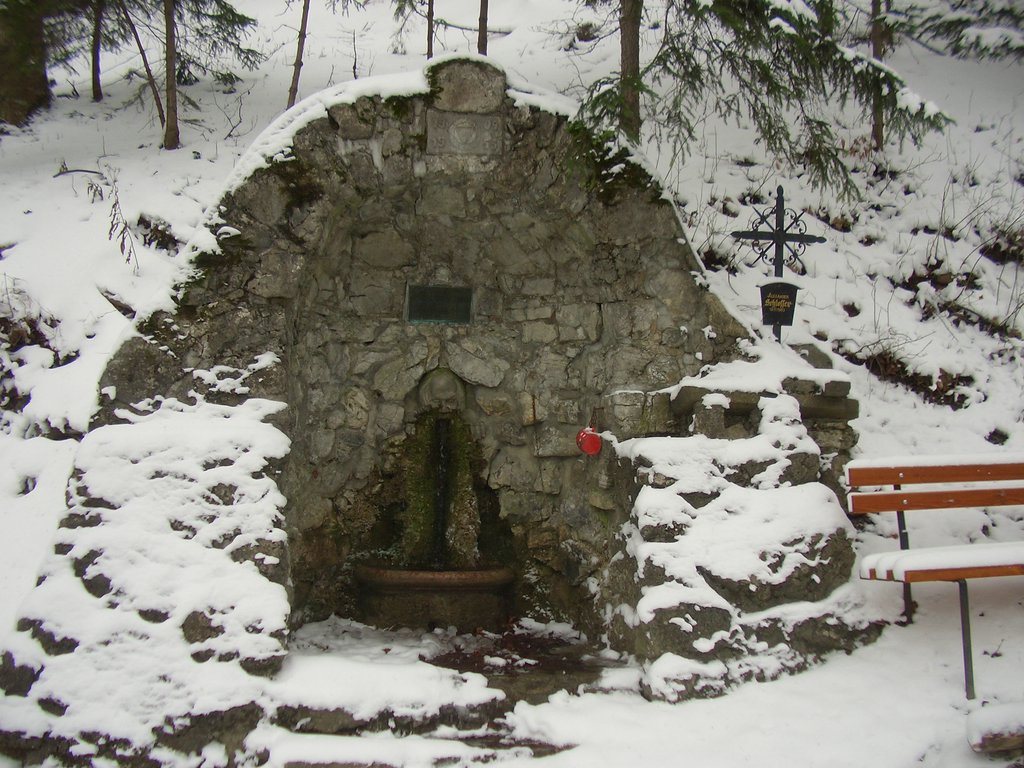 CIMG3268.JPG