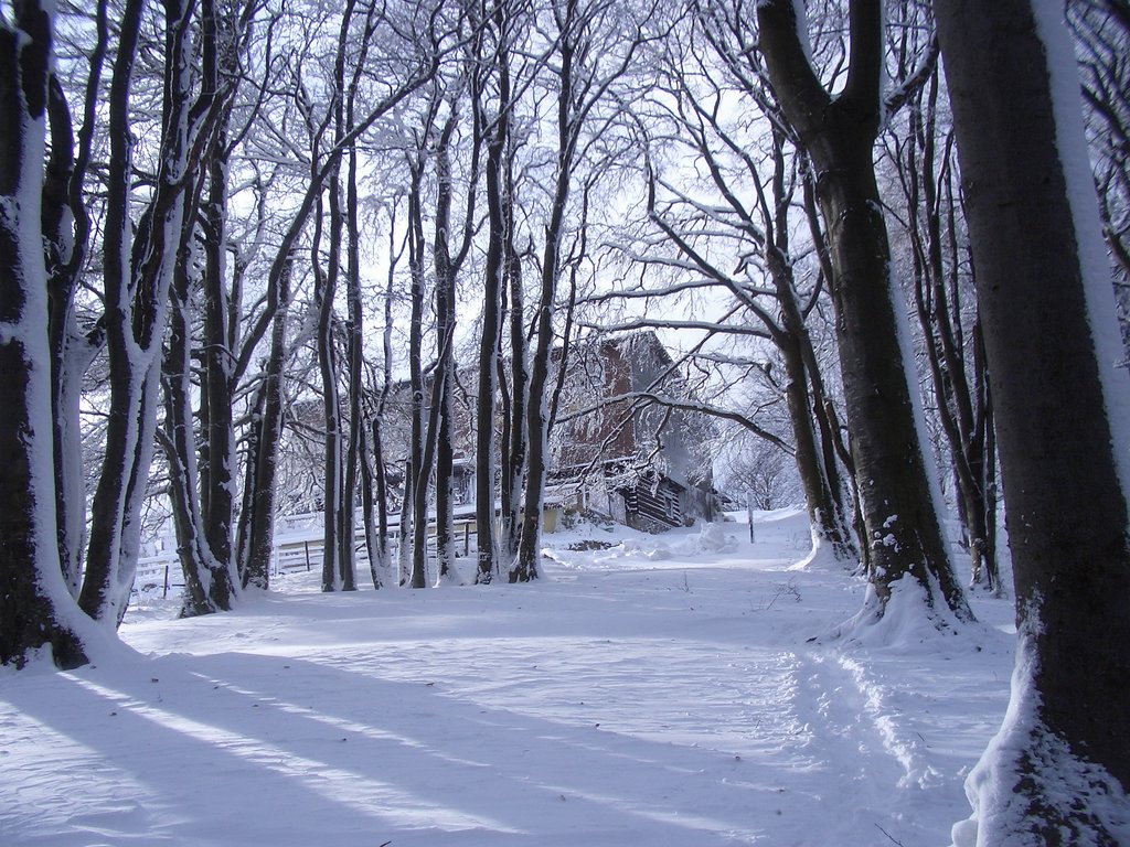 CIMG3278.JPG
