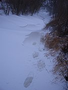 CIMG3254.JPG