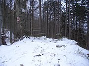 CIMG3262.JPG