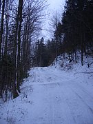 CIMG3265.JPG