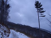 CIMG3267.JPG