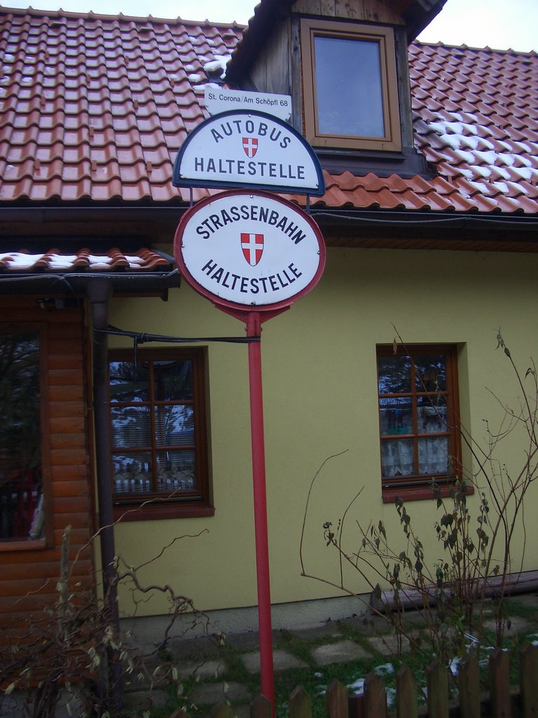 CIMG3344.JPG