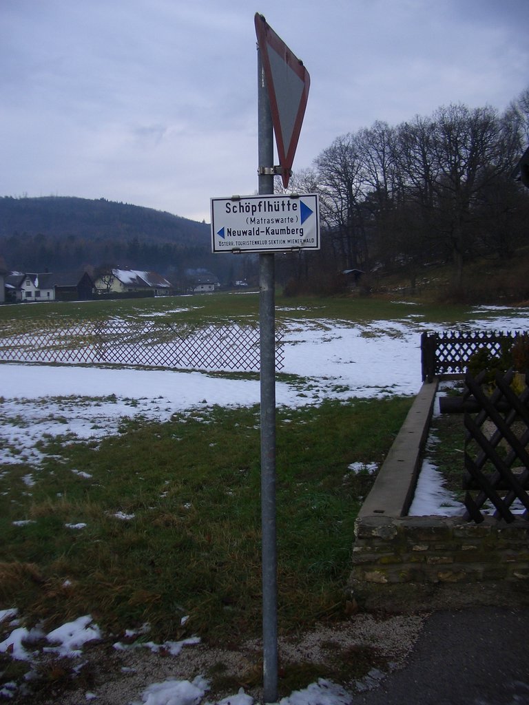 CIMG3345.JPG