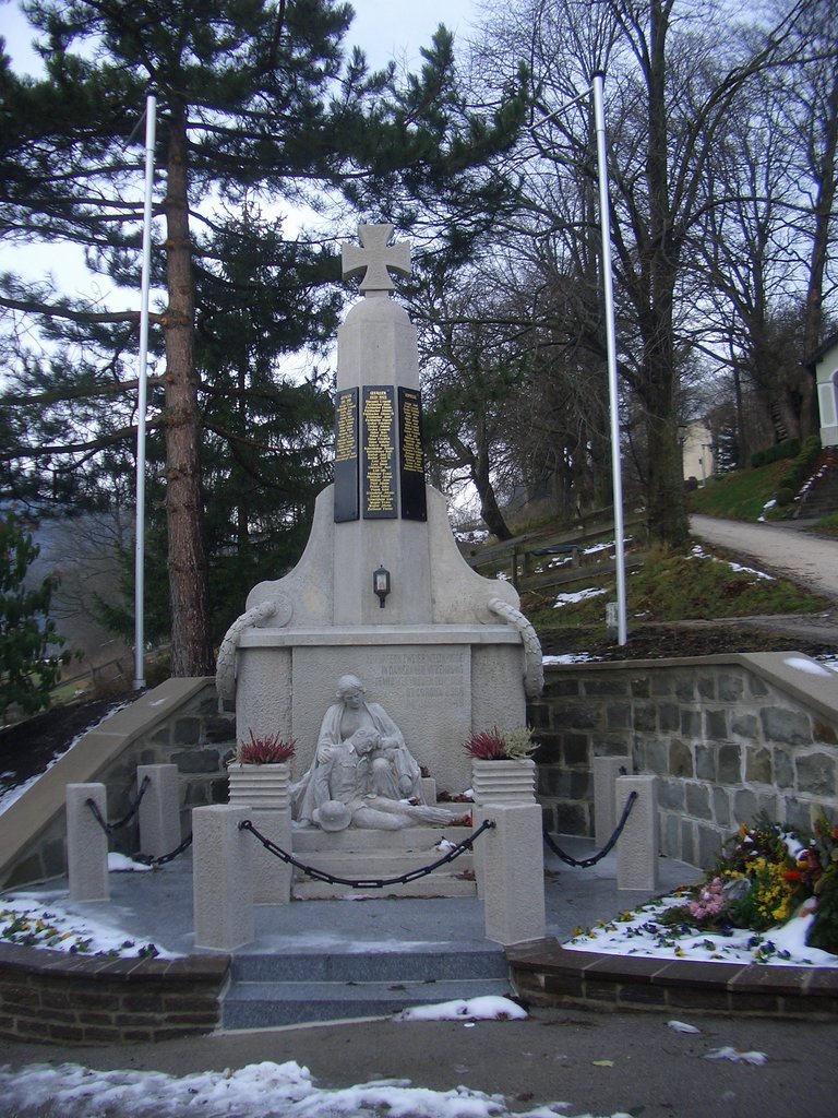 CIMG3346.JPG