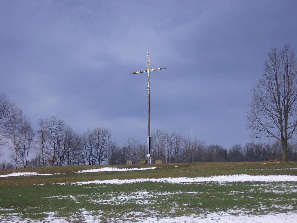 CIMG3351.JPG