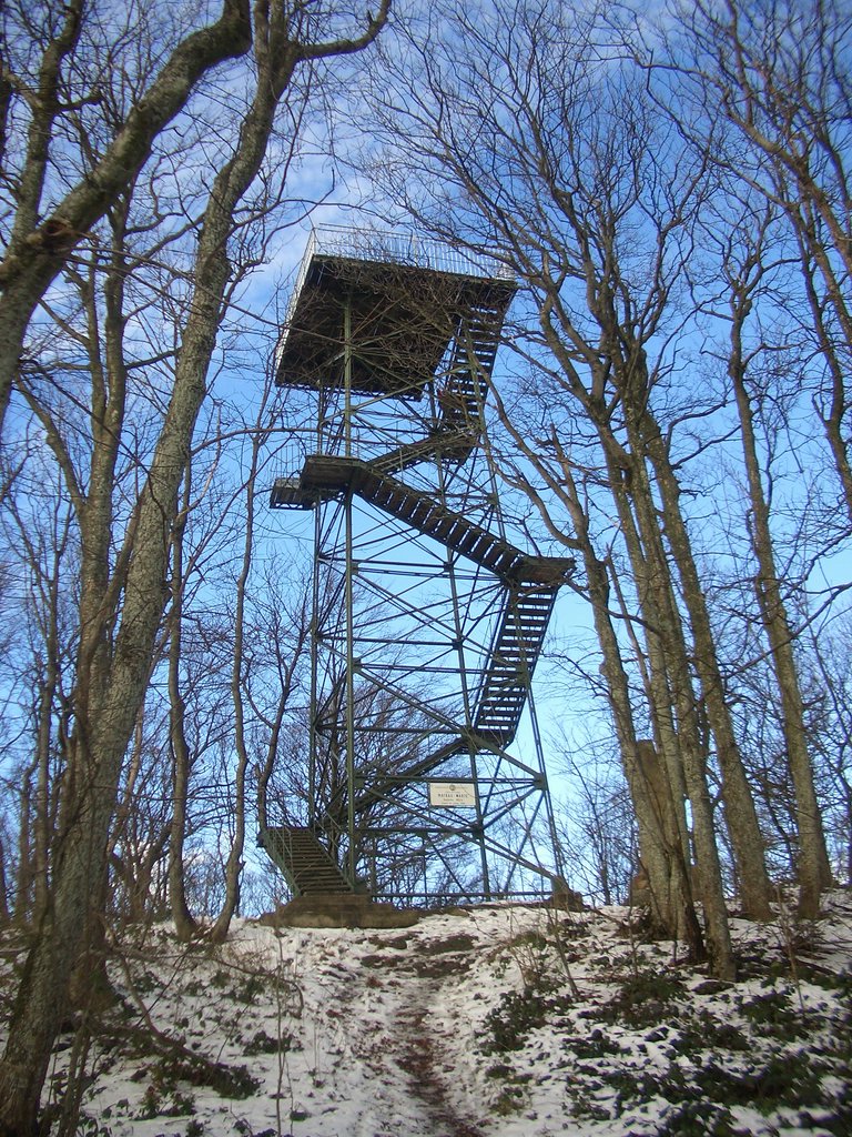 CIMG3359.JPG