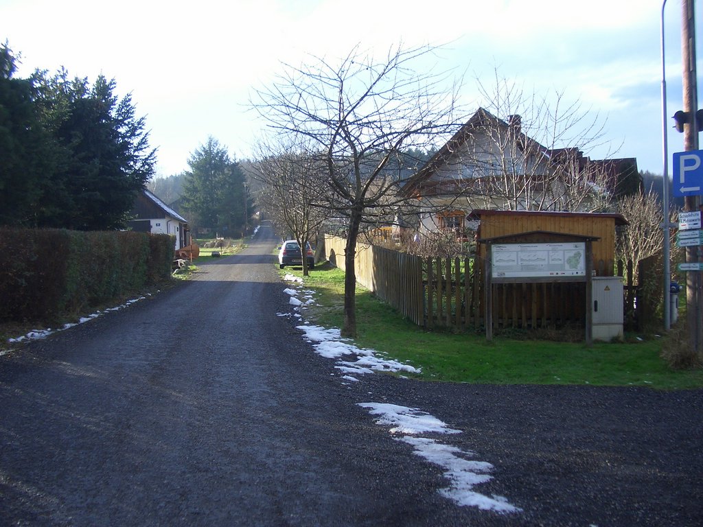 CIMG3371.JPG