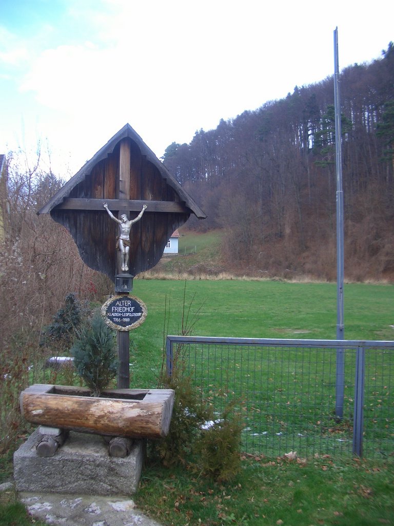 CIMG3378.JPG