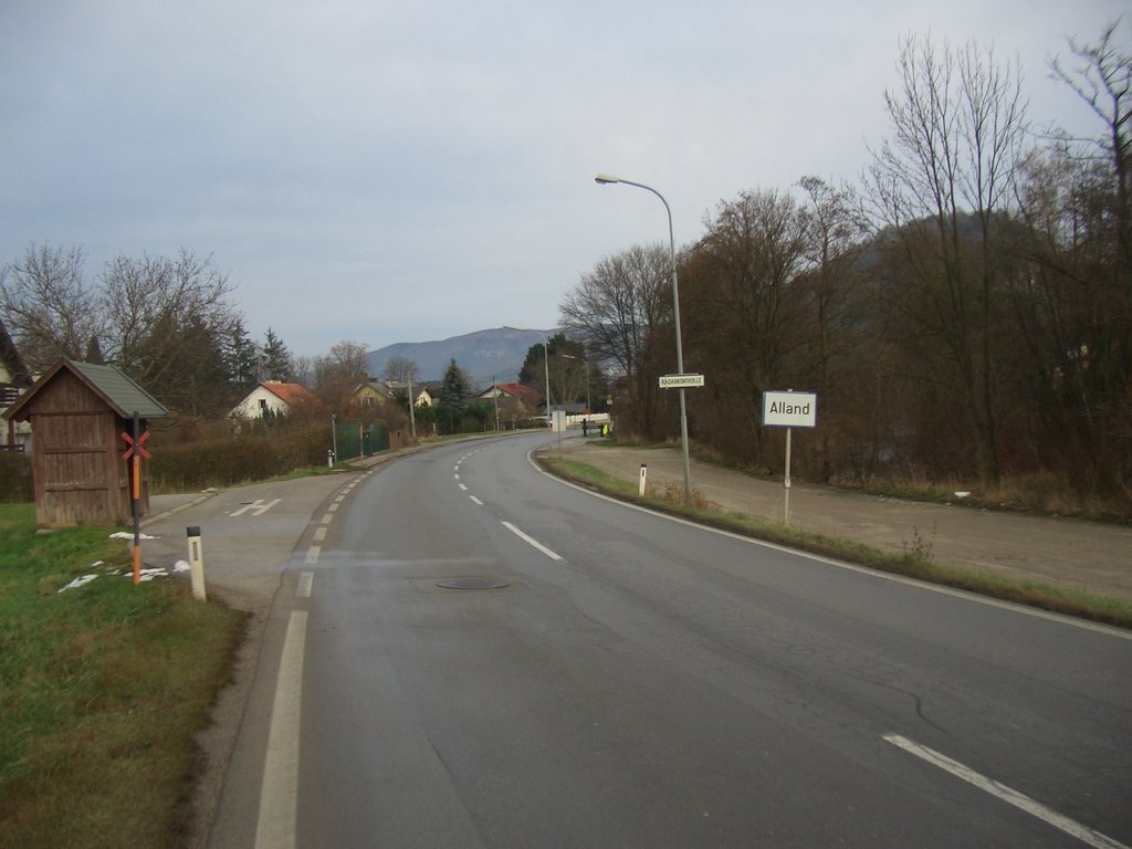 CIMG3380.JPG